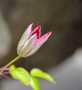 初心者が知っておくべきクラブの選び方は？