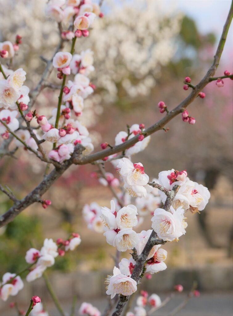 ゴルフ好きなカップルが楽しめる旅行プランは？