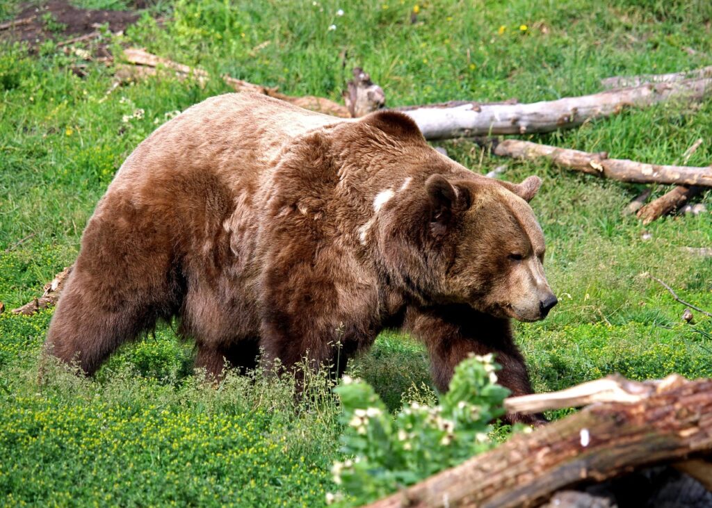 打ちっぱなしで出会いのきっかけを作る方法は？