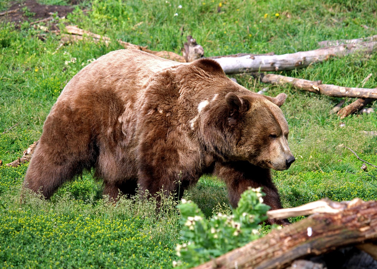 打ちっぱなしで出会いのきっかけを作る方法は？