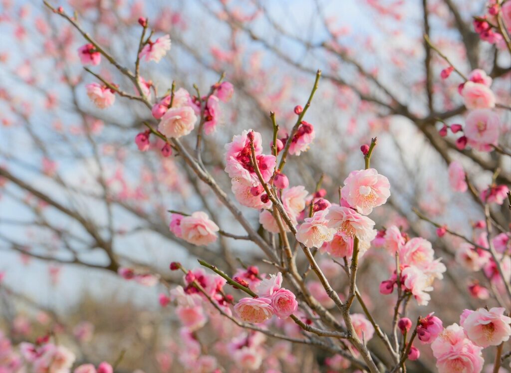 Withゴルフの価値観診断に関する評判や口コミはどうなっている？